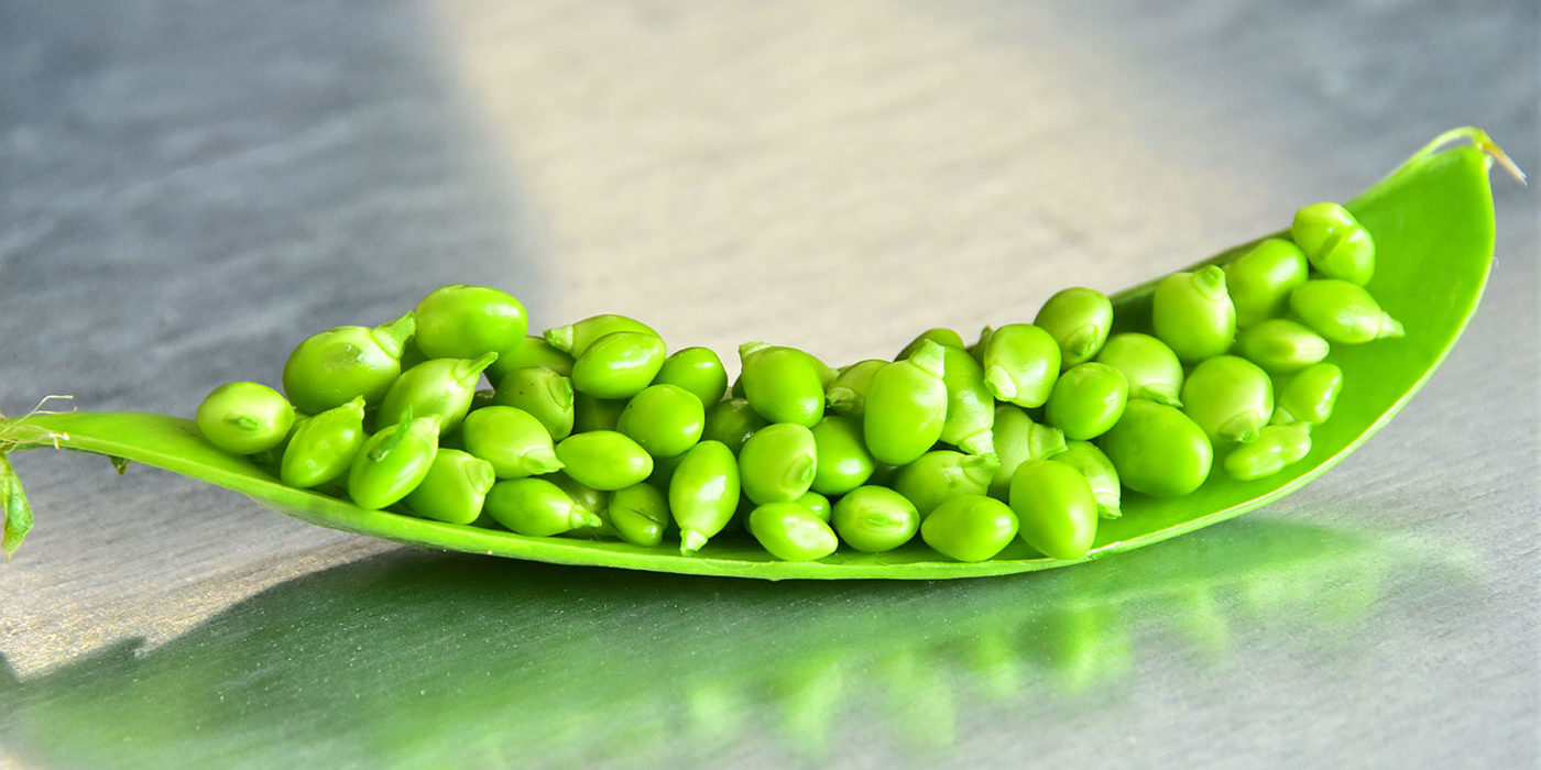 mongeta-llagrima pessol llagrima