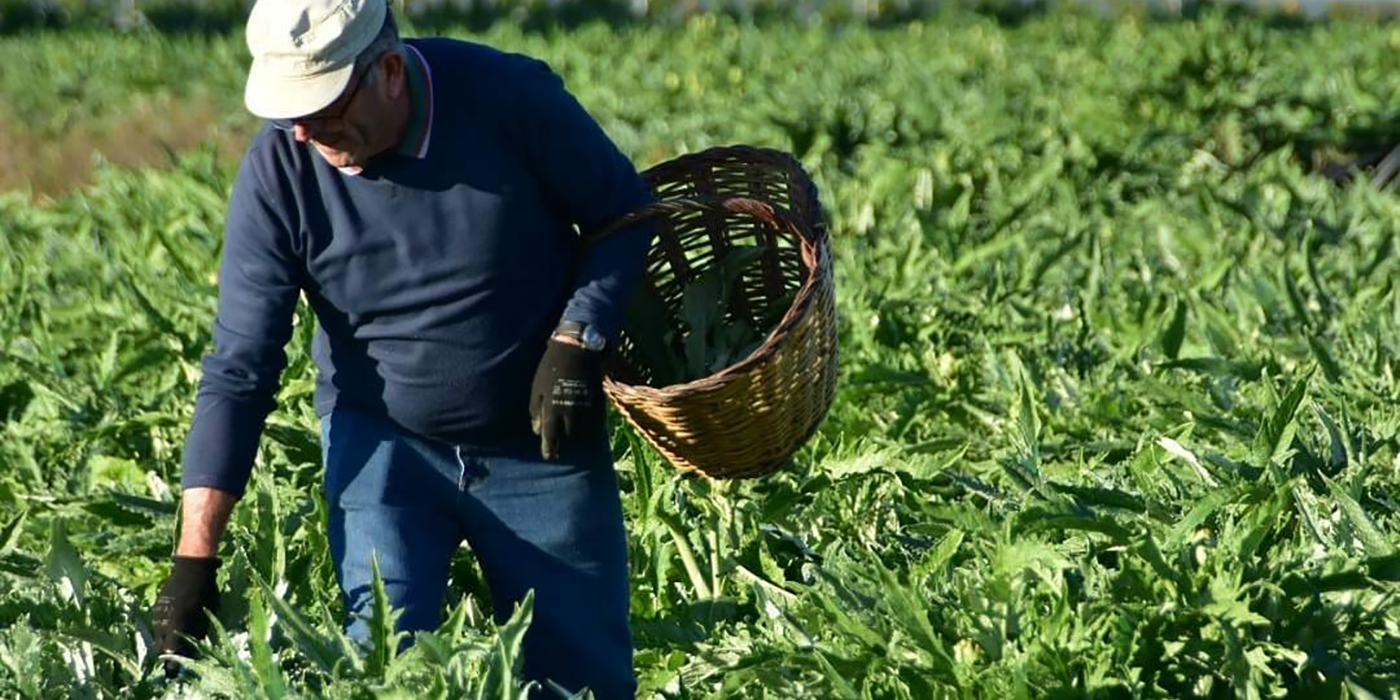 agricultura-del-maresme-de-proximitat agricultura del maresme de proximitat