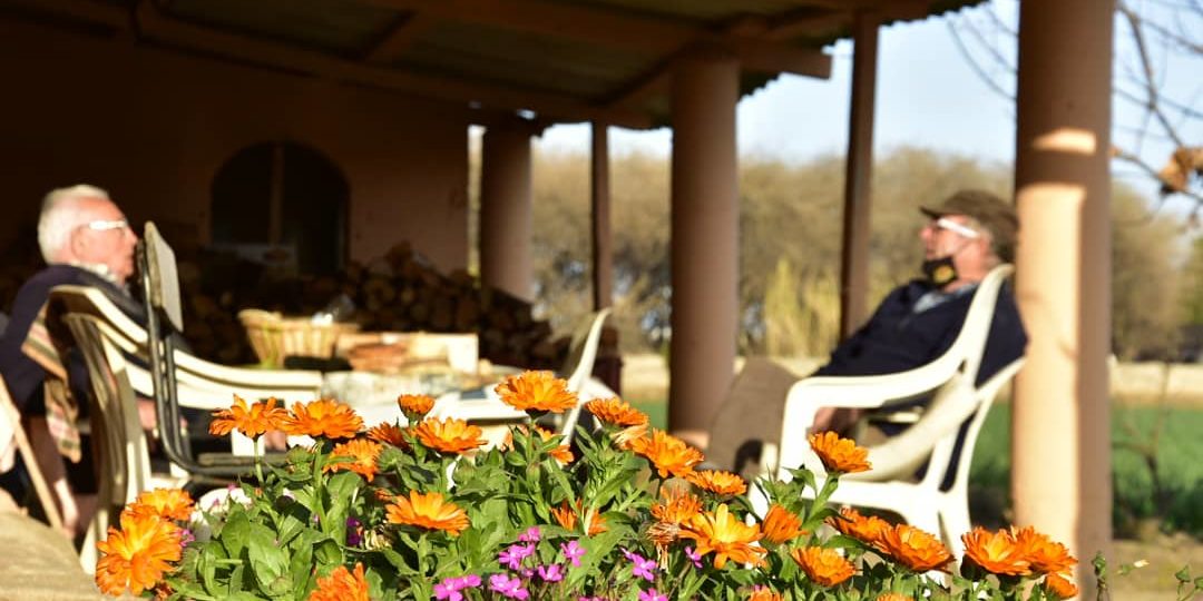 historia hortalisses pi