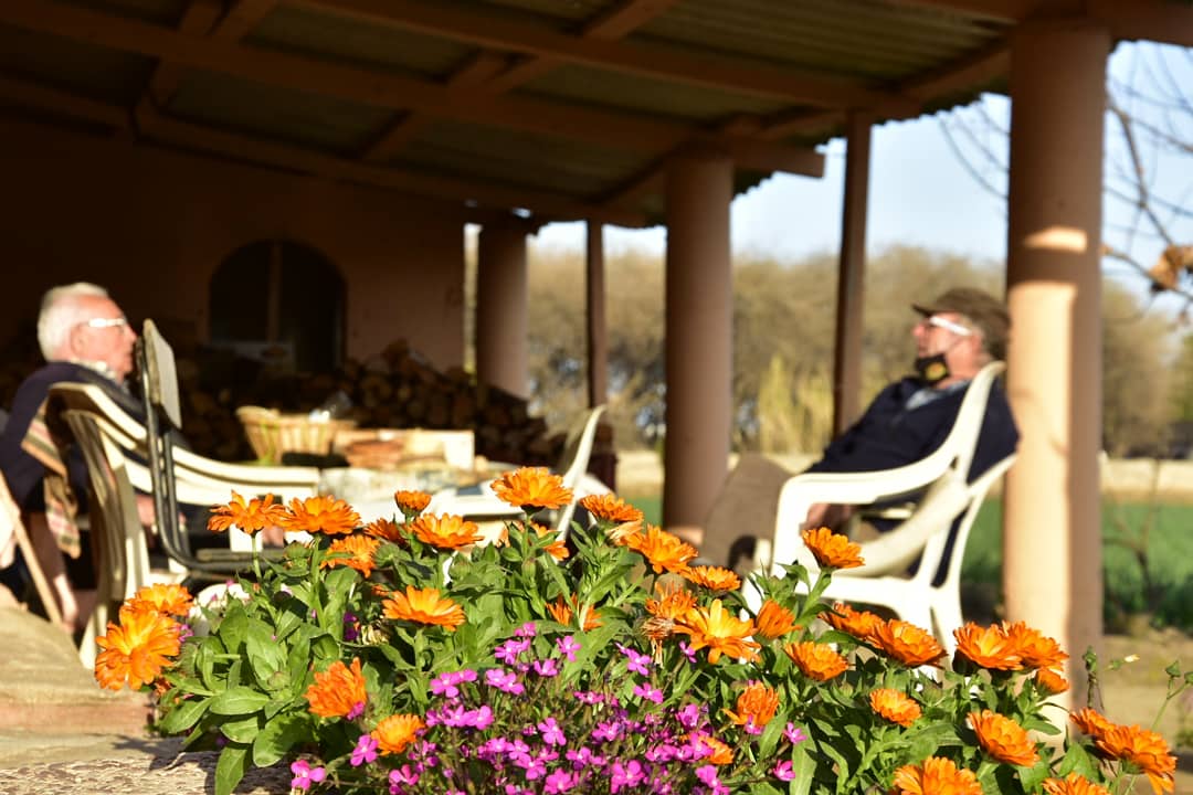 historia hortalisses pi